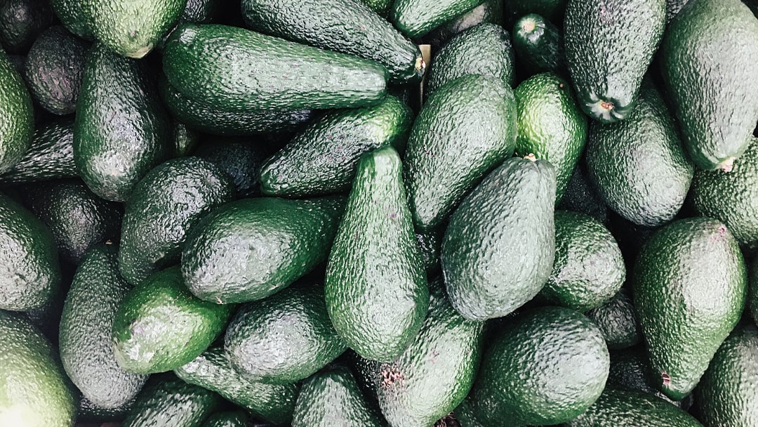 La produzione di Avocado in Messico